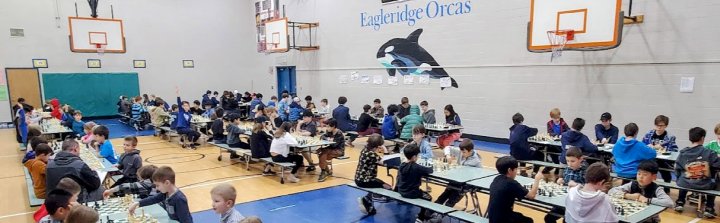 Eagleridge playing area